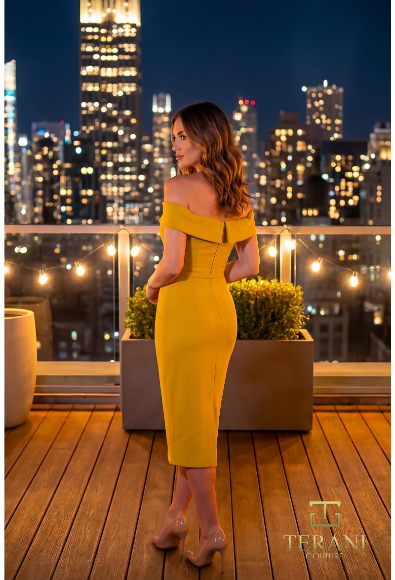 Terani Couture 262C7004 — official designer image