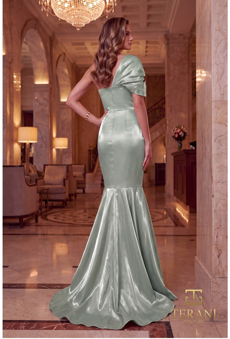 Terani Couture 262E7119 — official designer image