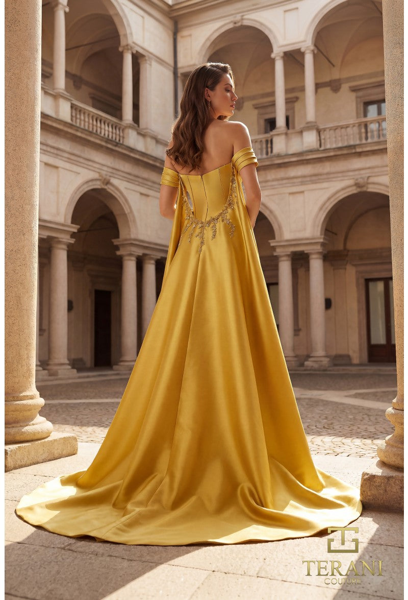 Terani Couture 262M7252 — official designer image